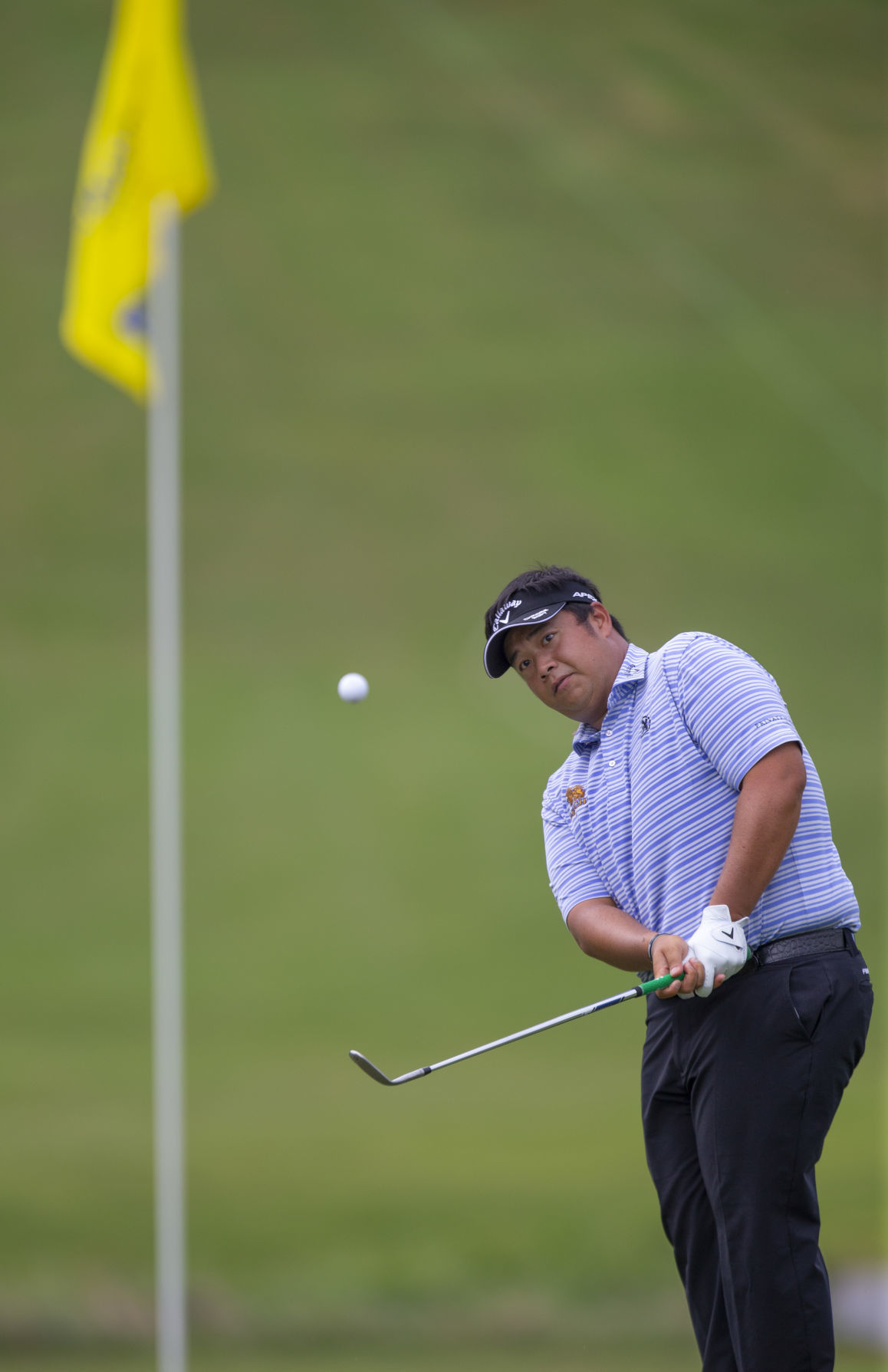 Wyndham Championship Round 1